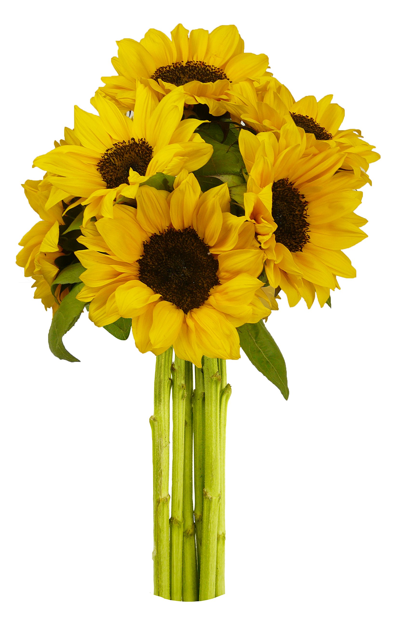 Benchmark Bouquets Flowering Fields, No Vase Grocery