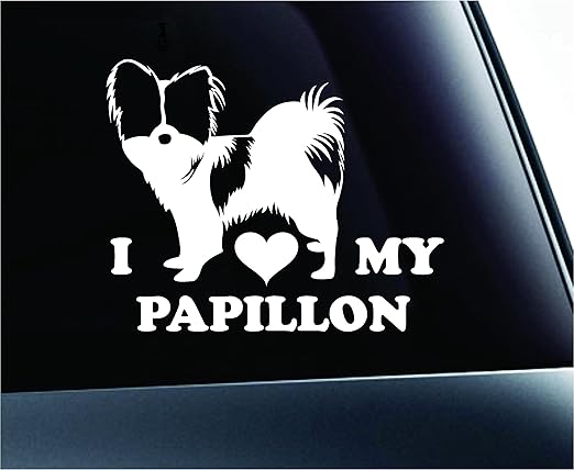 i love my papillon