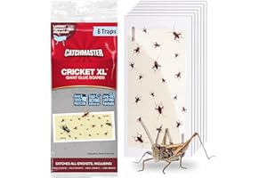 Catchmaster Cricket XL Giant Glue Boards 6-Pk, Adhesive Bug Catcher Cricket Traps Indoor, Sticky Trap for Inside Your Home, Bulk Insect Killer, Insect Traps for House & Garage, Pest Control for Home