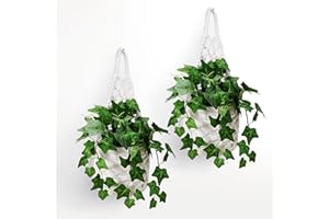 Shineloha 2PK Wall Planters for Indoor Plants, Macrame Plant Hanger | Wall Planter, Plant Hanger, Hanging Planter (2PK, for 6 inch Pot)