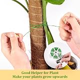 YAUNGEL Moss Pole 4 Pcs 41CM Coir Totem Plant Support with 20M Ties view 6
