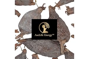 AseLife Energy™ Alligator Pepper Pods 1 OZ Grains of Paradise