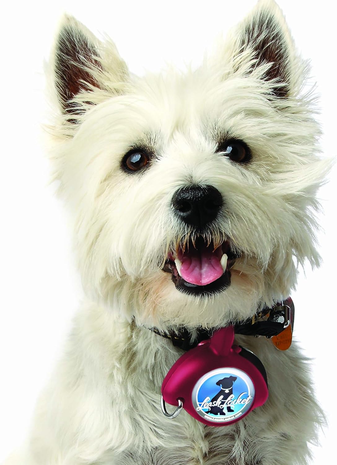 Leashlocket Clearance