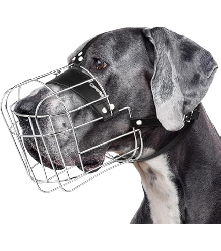 洋楽 BIG BLAC Strickly D.O.G. Hustlers Boxer Dog Unisex Hoodie by Dog Artistry