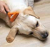 FURminator Undercoat DeShedding Tool Medium Short Hair Dogs 9-23 kg T691665 view 4