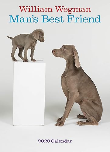 Download William Wegman Man's Best Friend 2020 Calendar PDF