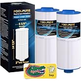 POOLPURE 6CH-960 Spa Filter Replaces Jacuzzi Filters J-300, J400, 6540-383 | Compatible with PJW60TL-F2S, 14081, 6000-383A, FC-2800, 6540-476 Hot Tub Filter with Closed Handle(Not be Removed) 2 Pack