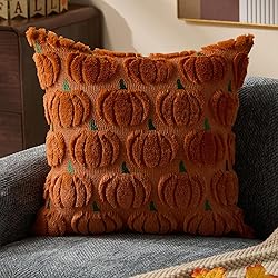 DFXSZ Fall Pillow Covers 18x18 Set of 2 Fall