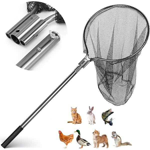 Amazon Landing Net Handle Extension Sanlike Fishing Net Glass