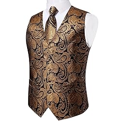 DiBanGu Mens Vest and Tie Set Formal Paisley