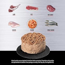 ORIJEN Premium Pate Wet Cat Food in Bone Broth