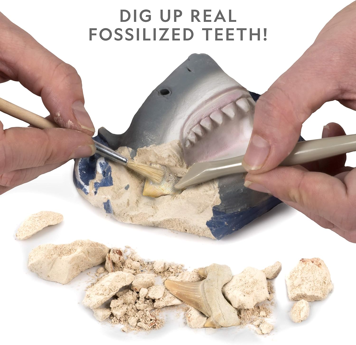 national geographic shark toy