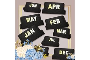 UPAFEXXI-Leather Monthly Tabs, 48 Pcs Planner Tabs, Calendar Month Stickers for Planners, Organizing and Sorting Out Notebooks (Black)