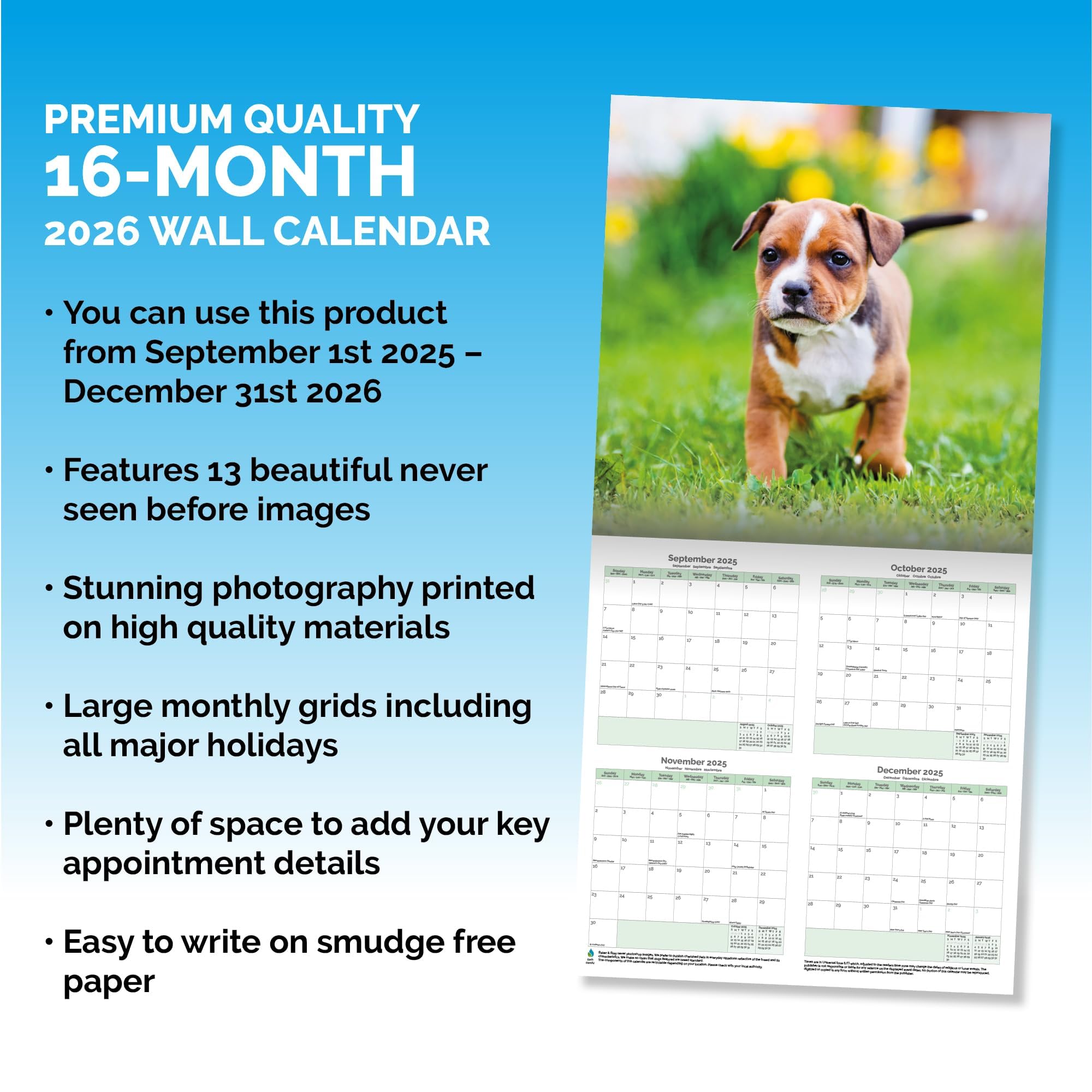 View 3