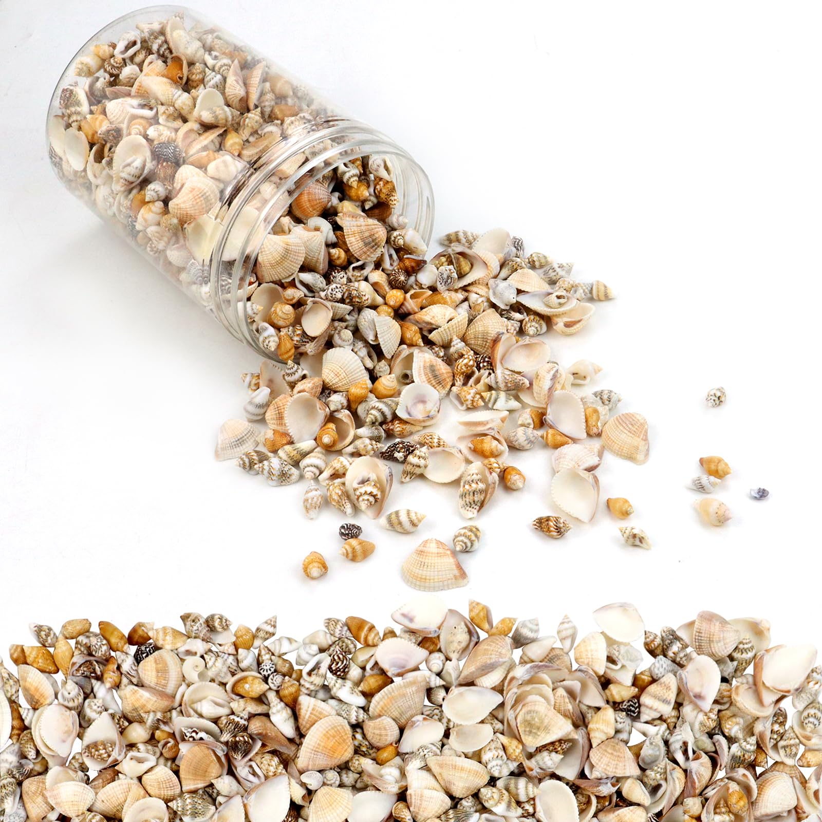Photo 1 of 1500 Pcs Small Shells For Crafts,Small Sea Shells For Crafting,Mini Seashells Bulk for Decorating,Assorted Tiny Seashells For Resin,Home Decorations, Beach Theme Party, Candle Making, Wedding Decor