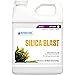 Botanicare SILICA BLAST Plant Supplement 0.5-0.5-1 Formula, 1-Quart