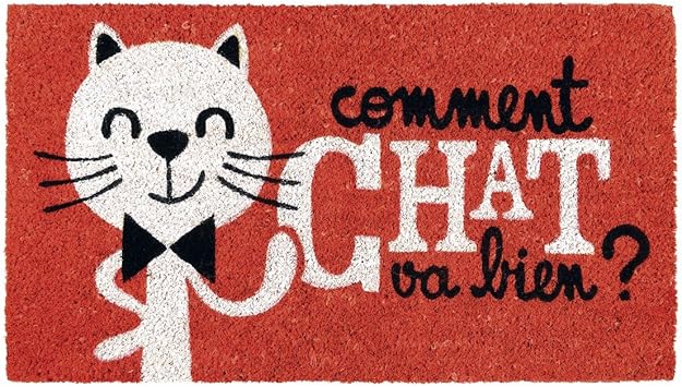 Fussmatte Coco Comment Chat Va Bien Rot Amazon De Burobedarf Schreibwaren