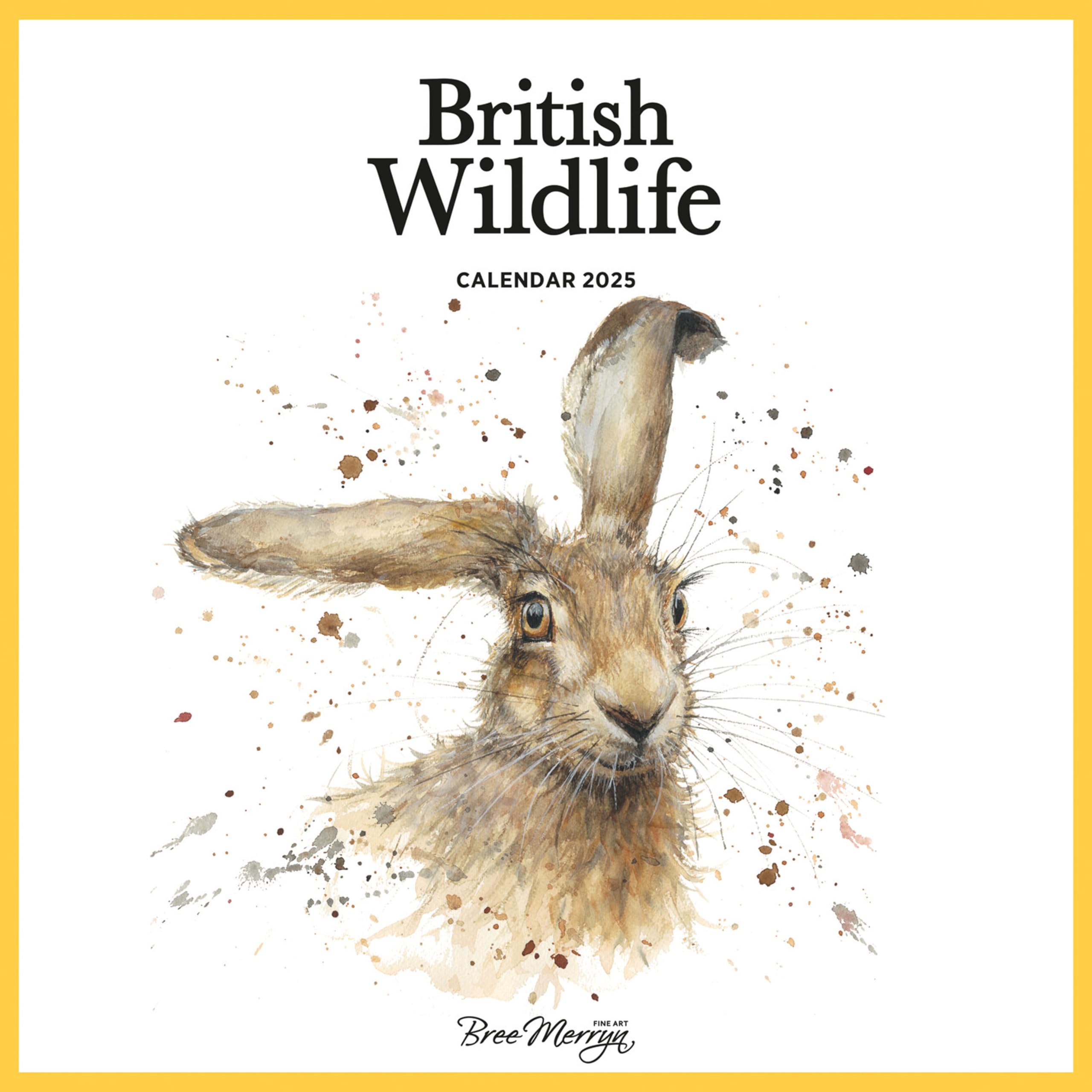 2025 British Wildlife - Bree Merryn Wall calendar: Plastic Free Packaging