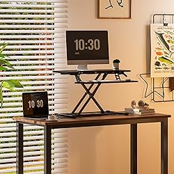 FLEXISPOT 32-inch Height Adjustable Standing Desk