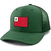 Vintage New England Flag Classic Snapback Trucker Hat