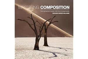 Mastering Composition: The Definitive Guide for Photographers