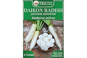 TKE Farms & Gardens - Daikon Radish Seeds for Planting, 500+ Heirloom Non-GMO Seeds, Japanese Minowase, Fast-Growing & Low-Calorie Superfood, Great for Pickling & Cover Crops, Instructions Included