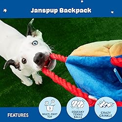 Barkbox 2 in 1 Interactive Plush Dog Toy - Rip and