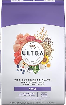 budget friendly dogs