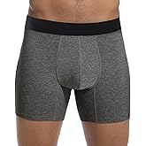 IRISMORII Adult Incontinence Protective Underwear for Men Washable Bladder Leak Proof Boxer Brief with 60ml Absorbency 1 Pack (Dark Gray, L)
