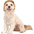 Rubie's Political Billionaire Wig for Pets, Medium/Large