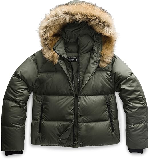 north face dealio down parka coat