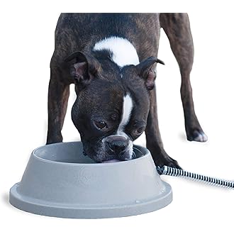 Amazon Best Sellers: Best Dog Bowls