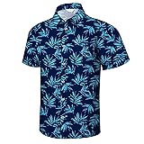 Mizvsitrd Hawaiian Shirt for Men, Hawaii Short