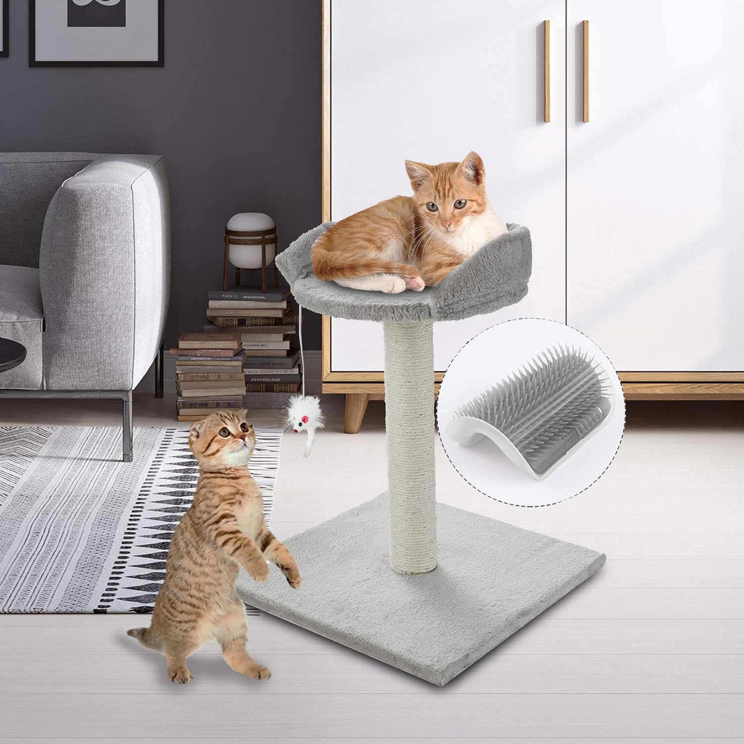 ScratchMe Tree Condo with Scratching Post : Pet Supplies