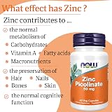 NOW Foods Zinc Picolinate 50mg, Vegan Capsules, 60 Count, Gluten Free view 5