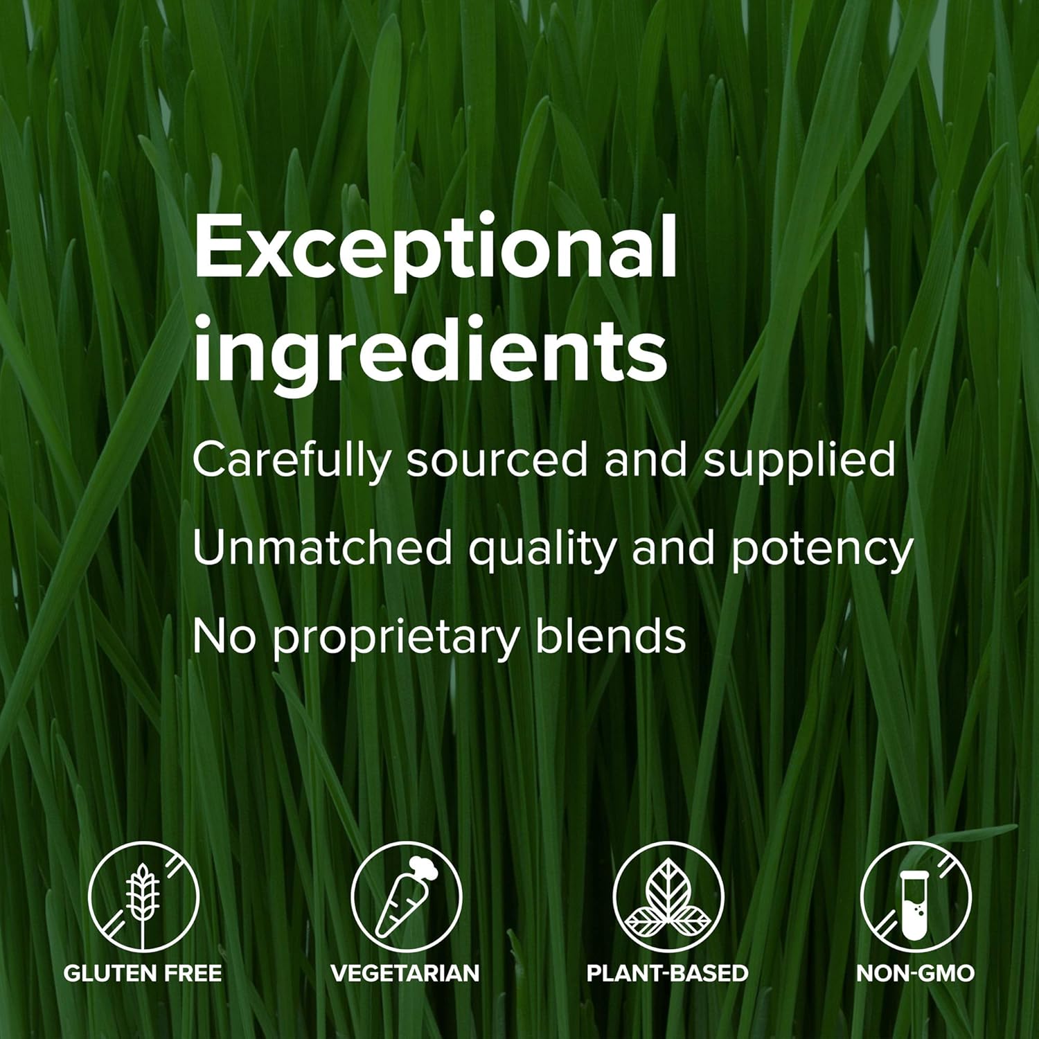 Vibrant Health - U.T. Vibrance, 10 Servings: Health & Personal Care
