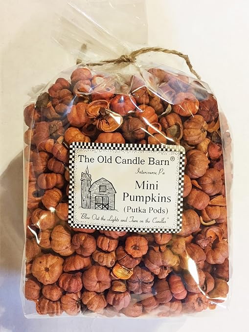 Amazon Com Old Candle Barn Mini Pumpkins Putka Pods Fall