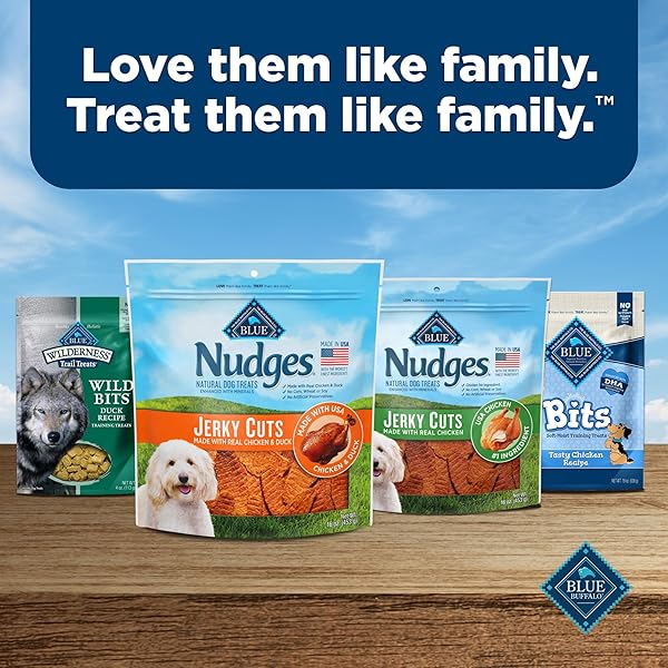 BLUE BUFFALO NUDGES JERKY CUTS DOG TREATS, MADE IN THE USA WITH NATURAL INGREDIENTS, CHICKEN & DUCK, 10-OZ. BAG