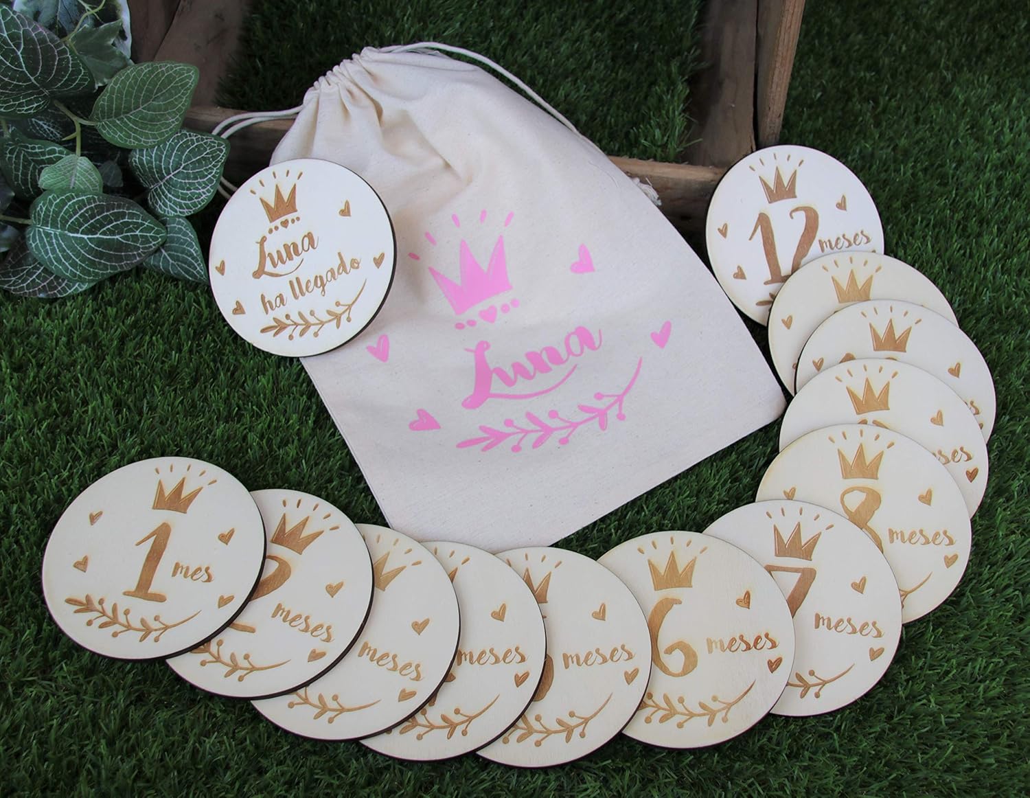 Discos Mensuales para Conmemoración de Fotos de Crecimiento del Primer