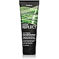 ShiKai Color Reflect Daily Moisture Conditioner (8 Fl Oz) | Lightweight Formula for Everyday Use | Avocado Oil & Shea Butter | Adds Shine, Body & Helps Maintain Color-Treated Hair