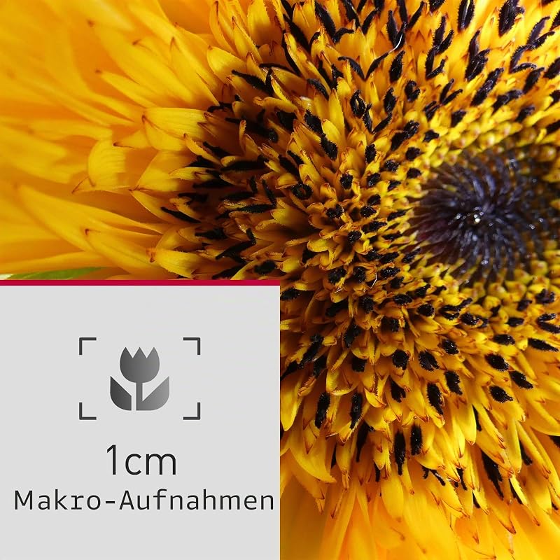 Lumix DC-FZ82DE Bridgekamera mit 20-1200 mm F2.8-5.9 Objektiv, 18,1 MP, 4K Video & Foto, OLED Live-View-Sucher, LCD-Touchscreen, USB-C, Schwarz