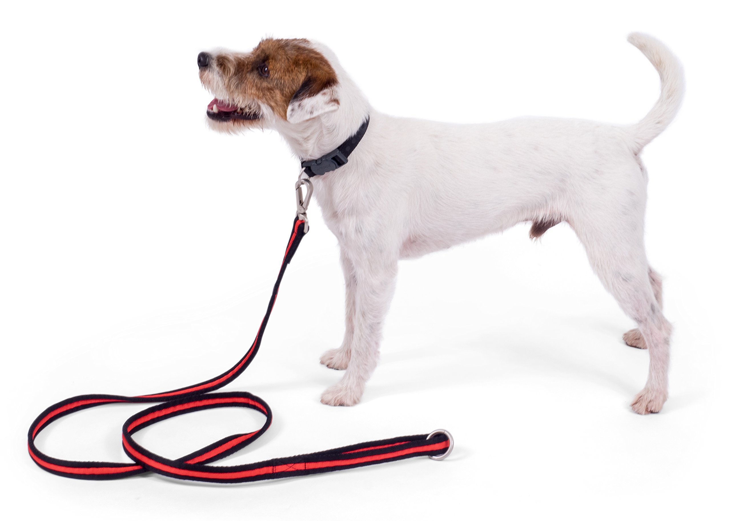 Petface Training Red & Black Dog Lead, 187cm Long