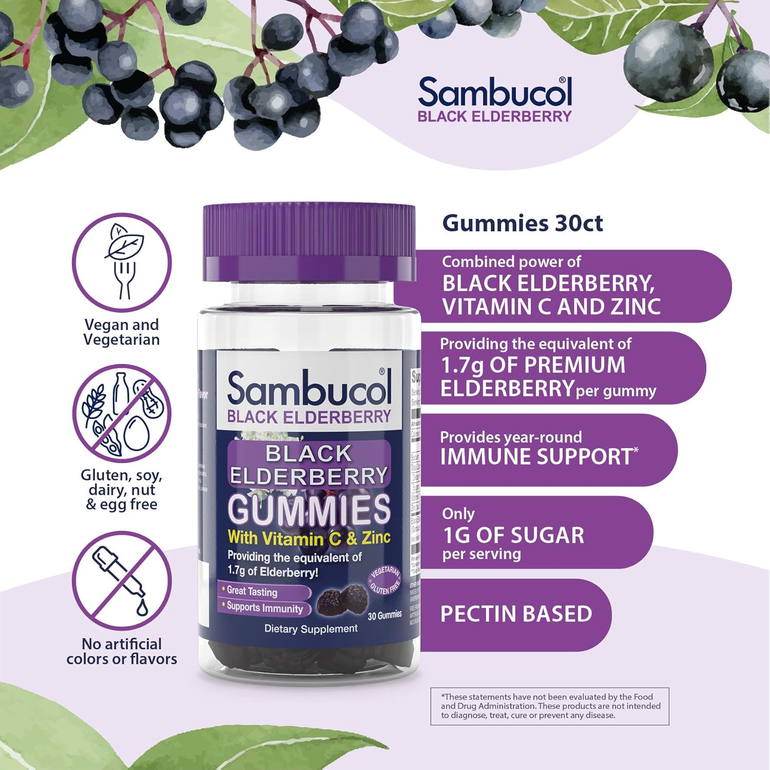 Sambucol Black Elderberry Gummies, 30 Gummies: Health & Personal Care