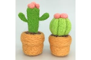Truslin - Needle Felting Succulents Kit for Arts and Crafts, Easy for Adult Beginners, Make 2 Wool Pots and Cactus, 2 in 1