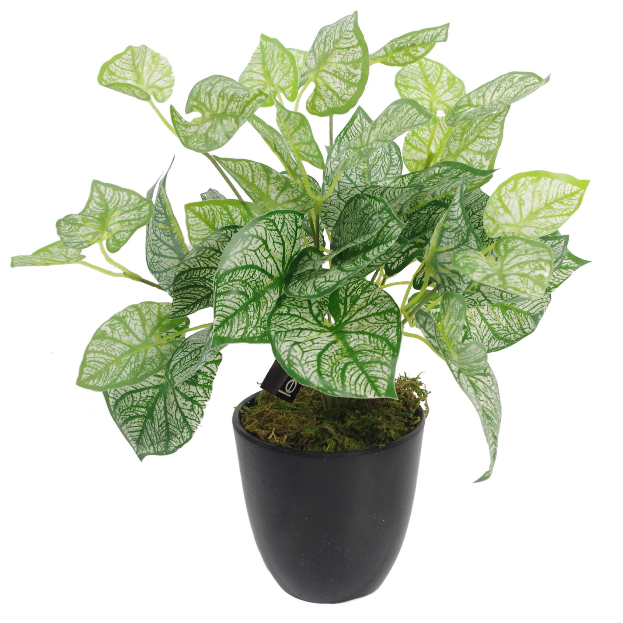 Leaf Design UK Realistic Artificial Foliage Plant with Pot, 40cm, Caladium