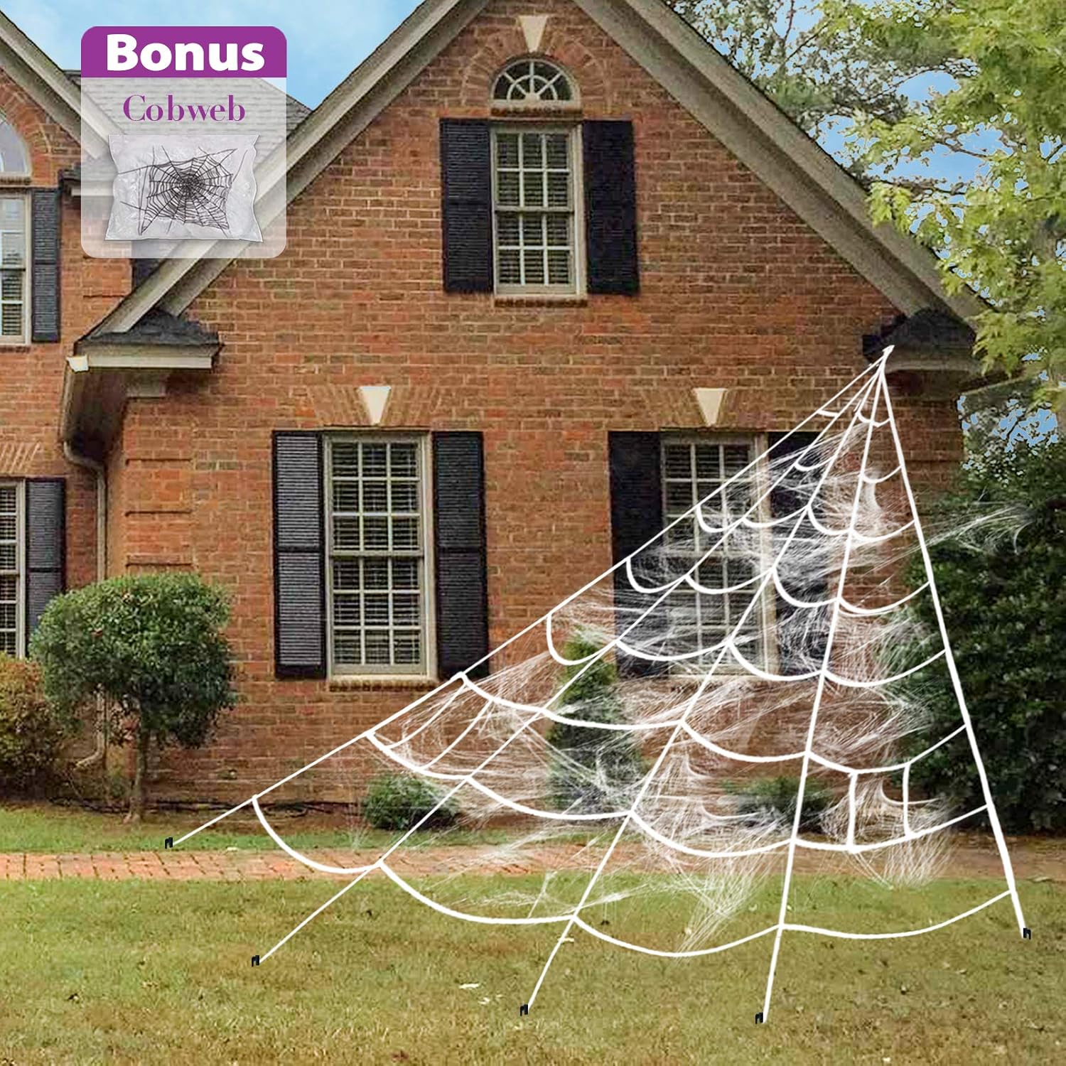 Amazon Com Pawliss Halloween Decorations Giant Spider Web With