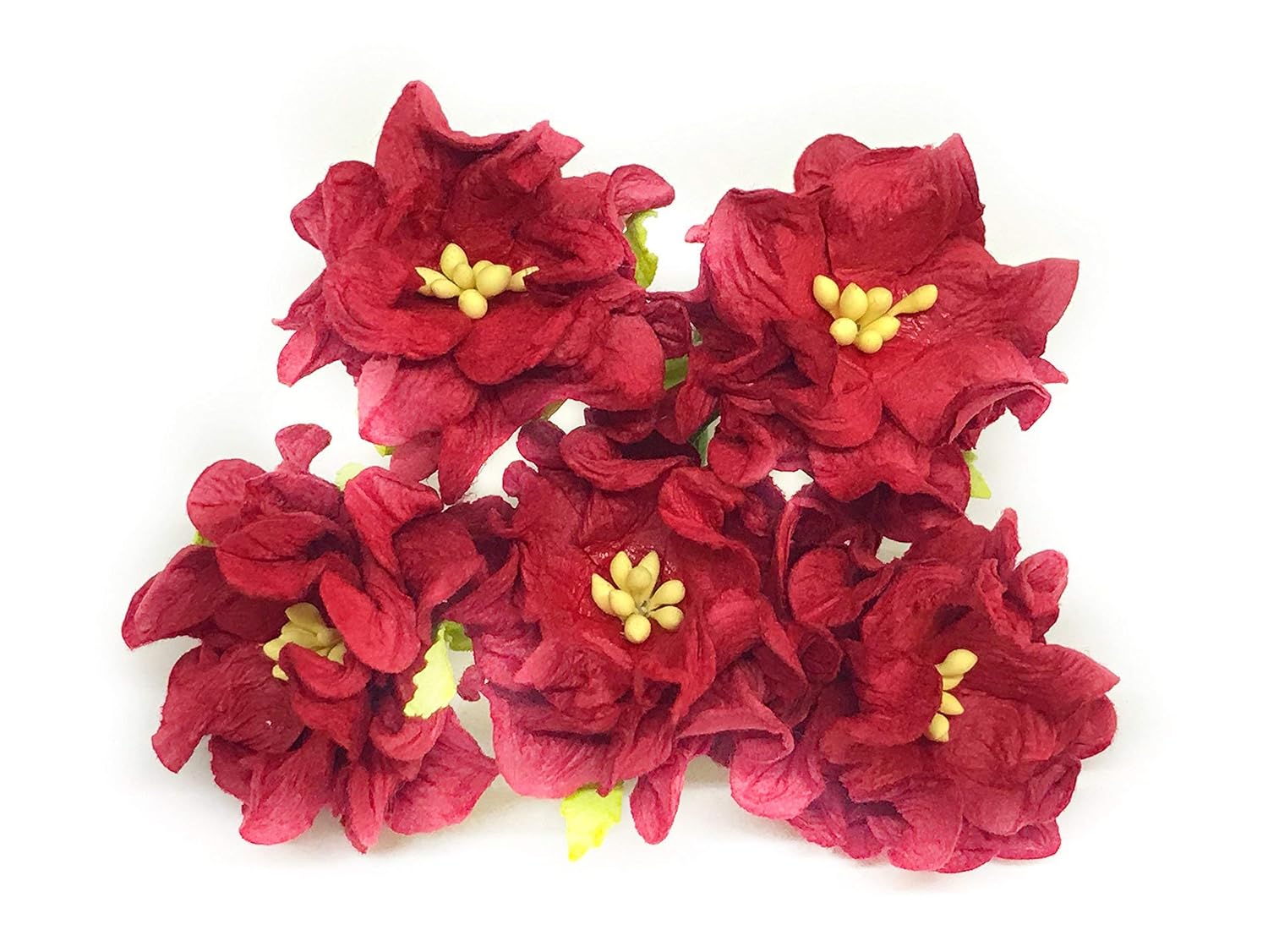 Get Amazon Com 1 5 Inch Red Mulberry Paper Flowers With Wire Stems For Android Get Wallpaper Amazon Com 1 5 Inch Red Mulberry Paper Flowers With Wire Stems For iPhone
