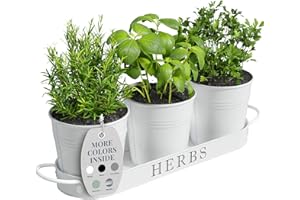 Barnyard Designs Indoor Herb Garden Planter Set with Tray, Metal Windowsill Plant Pots with Drainage for Outdoor or Indoor Plants, Set/3 (White)