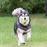 KONG Air SqueakAir Tennis Ball Dog Toy Medium 6 Pack view 6