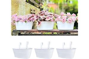 LÁLÁGREEN LaLaGreen Outdoor Plants Rail Planter (11.2 Inch, 3 Pack) White Metal Iron Hanging Flower Pots Deck Railings Fence Balcony Modern Boho Style Wall Mount Window Box Plant Holder Hooks Porch Home Decor